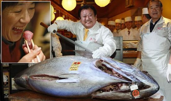 日本金枪鱼拍卖创1.55亿日元