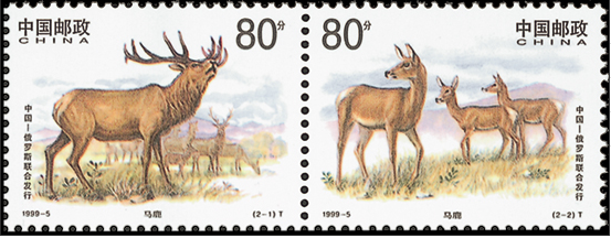 马鹿（中国和俄罗斯联…