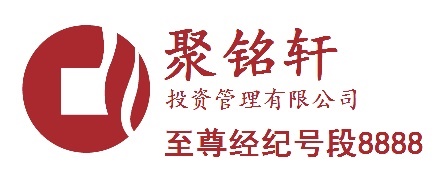 聚铭轩南方市场点评LOGO