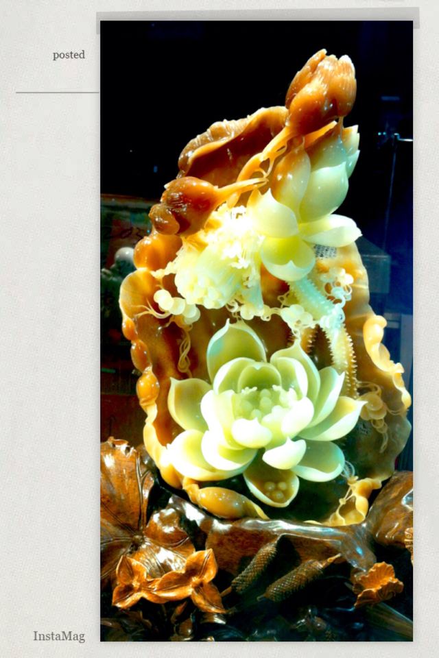 黄白老玉 (2).jpg