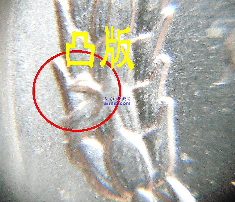 凸版硬币局部2