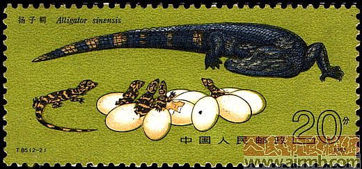 鳄鱼邮票