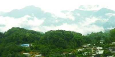 茶商云集的老山寨