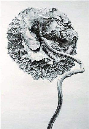 刘丹的当代水墨作品 《罂粟花》（局部）（资料图片）