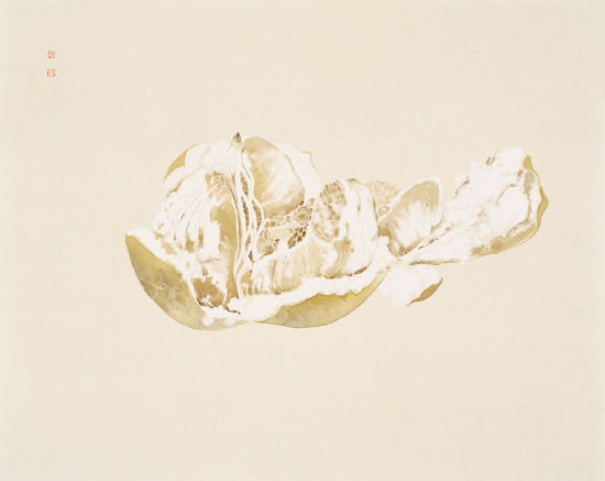 柚子 45cmx55cm 2010年