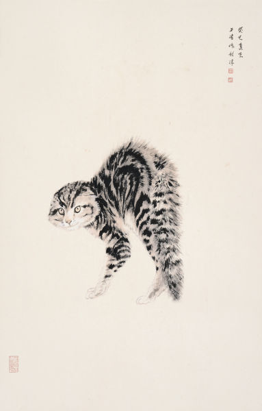猫 45cmx80cm 2013年