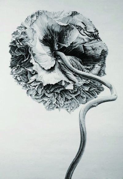 刘丹 《罂粟花》 纸本水墨 2007年