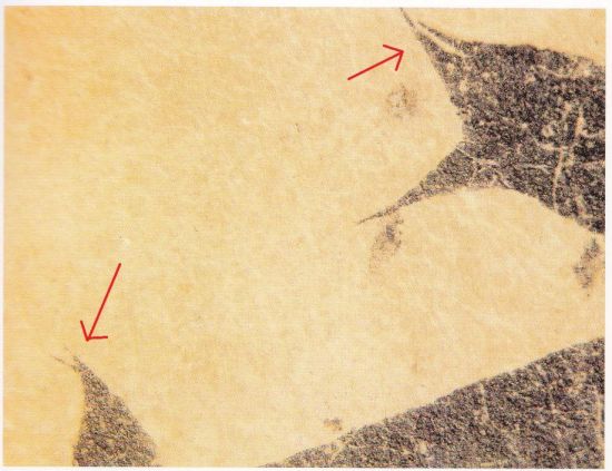 《何如帖》“审”字局部，双钩落笔处形成燕尾交叉线。