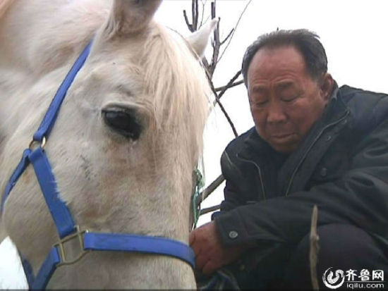刘志敏和他养的马。