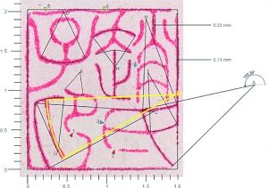 赵孟頫“赵氏子昂”印鉴的数学解析(样品取自大都会博物馆藏赵孟頫书《羲之四事帖》)。