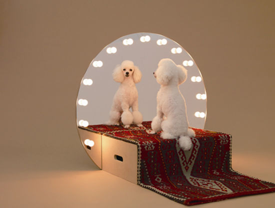 康士坦丁•葛切奇为玩具贵宾犬设计的“贵宾犬的梳妆台”