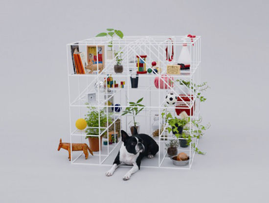 日本建筑设计师藤本壮介设计的“波士顿梗犬的王国”