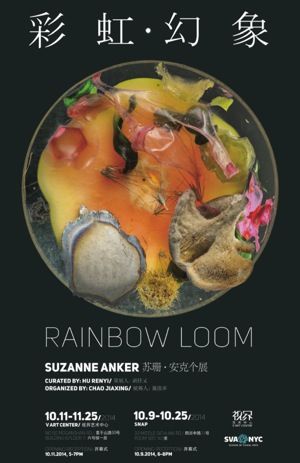 彩虹幻象：苏珊·安克个展 海报