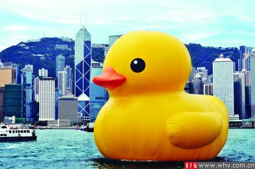 已经在世界各地展览过的大黄鸭终于要来上海了。