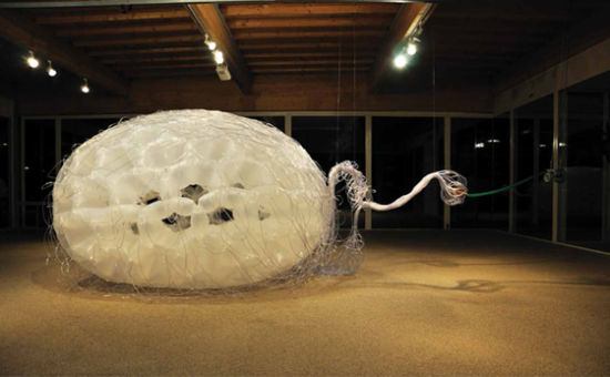 《一个生命的时光胶囊》  罗纳德·范德·梅斯  2013年   装置