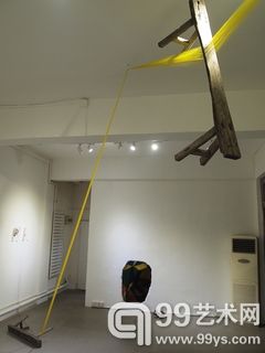 张新军，“张新军”展览现场，2013