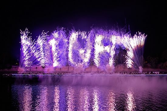 蔡国强近日在巴黎塞纳河畔所作的焰火艺术表演《一夜情》