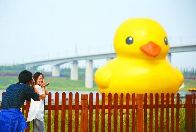 游客在北京园博园参观大黄鸭       本报记者  陈 曦  摄