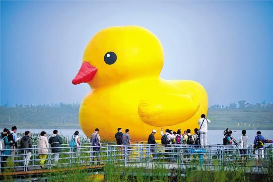 大黄鸭在北京园博园园博湖景区展示 　　