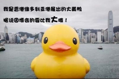 北京大黄鸭比香港的更大