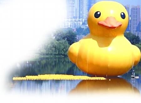 网友在重庆南岸某公园湖里见到的大黄鸭 网友图