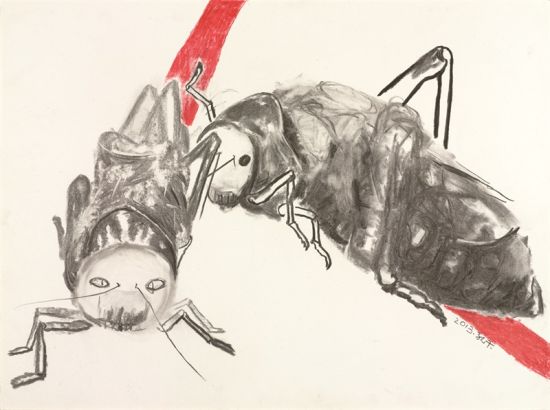 蚂蚱9 59.5cmX44.5cm 2013