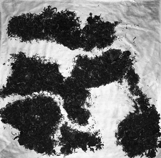 王清州装置作品《茶》 95cm×95cm 2014年