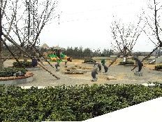雕塑公园儿童乐园