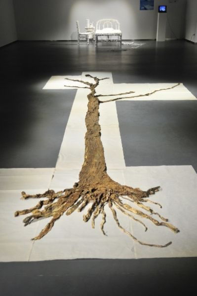 杨光《国槐》最佳制作奖