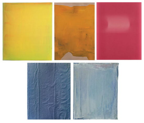 也可以几乎只有一种颜色上排从左到右分别是：Untitled (2010)， by Markus Amm；Untitled (2013)， by Stef Driesen；Roll Fades (2012)， by Sam Falls上排从左到右分别是：Untitled (Fold) (2011)， by Tauba Auerbach；Untitled (2013)， by David Keating