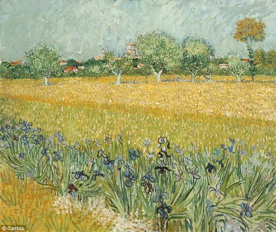 “患病”的梵高作品《鸢尾花盛开的原野》(Field with irises near Arles)