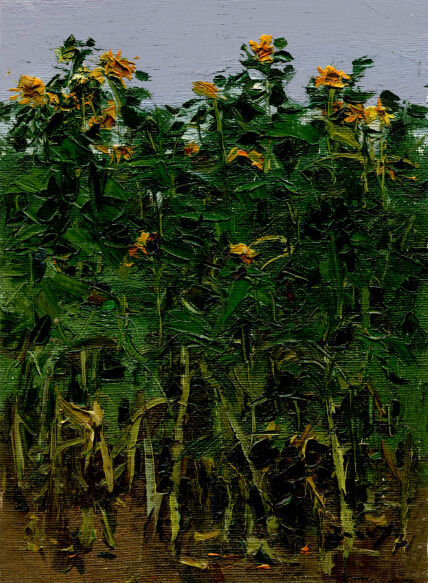 《向日葵》 2007年 19×26cm