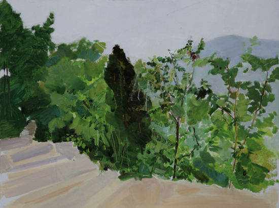 蟒河风景之二 2013年 卢微微