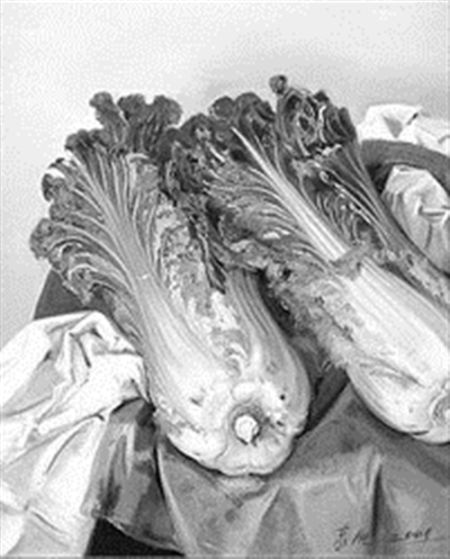 右上图：忻东旺作品《白菜》。