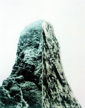 尚扬《碑》　　这件作品体量颇大，达到了360cmX290cm，即使在普遍以大画为主的一楼展厅里也颇为醒目。左半幅郁郁葱葱的山林与右半幅炭化皲裂的山体对比强烈，技法高超，超写实的综合材料制作方式让人印象深刻，画面可以从生态环保、二元哲学、时空观、生命隐喻等多重角度进行解读，每个观众都可以容易地从中寻找自己的理解，或许正是因为这样，许多观众选择在这张作品前留影纪念。