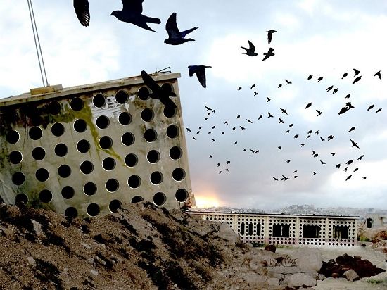 巴勒斯坦山地的“乌鸦巢”