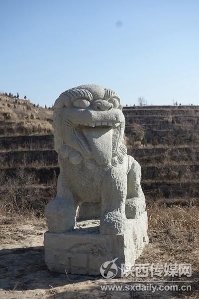陕北绥德现史上最“卖萌”石狮。王瑞平摄