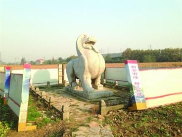 身处农田的石辟邪。