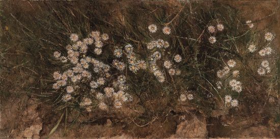 Wild chrysanthemum 野菊花 (2013) 30 x 60 cm