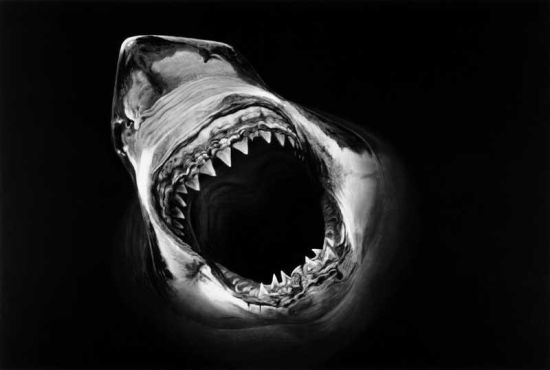 罗伯特•隆戈《鲨鱼》，2013年，版画， 147x224cm