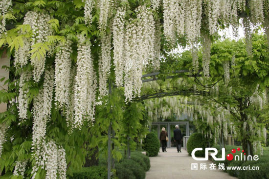 吉维尼印象派美术馆花园