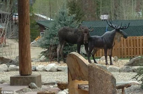 “亲密接触”过程持续了数分钟。