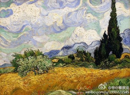 《麦田里的柏树》