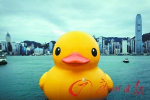 “大黄鸭”日前在中国香港维多利亚港巡游，吸引众多游客围观。