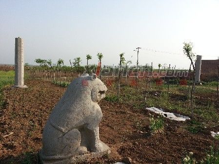 记者探访