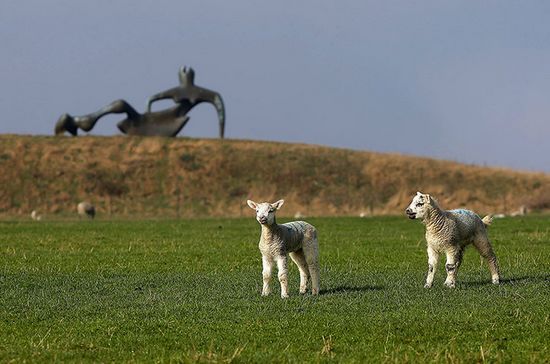 两只小羊和摩尔的雕塑组成了和谐的风景