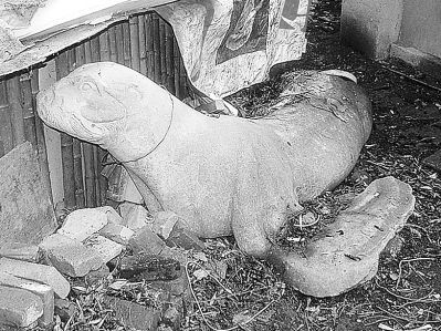 80多岁的海豹雕塑