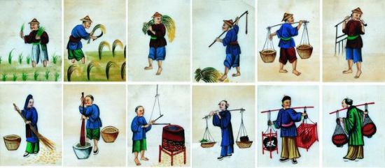 清代通草画。图片来源网络