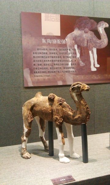 修复好的隋炀帝墓出土文物骆驼俑重新亮相展厅