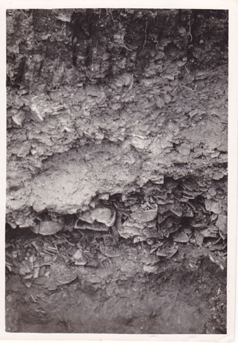 1973～1978年窑址堆积断面状况
